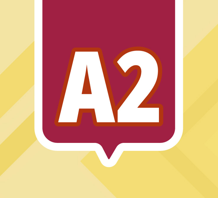 A2 A22025X